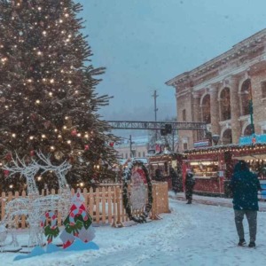 Wat is duurzamer, een echte of neppe kerstboom